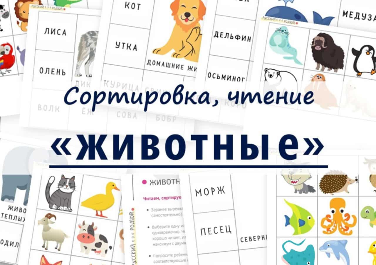 Животные_Сортировка, чтениe
