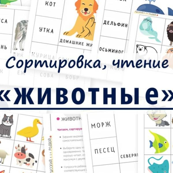 Животные_Сортировка, чтениe